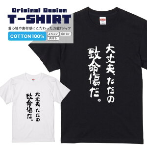 TVcwv ̒v x TVc TVc 2TVc  bZ[WtVc pfBTVc fB[X Y s  i ^ pfB v[g Mtg 