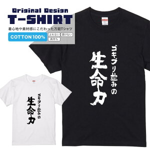 TVcwSLu݂̐́x TVc TVc 2TVc  bZ[WtVc pfBTVc fB[X Y s  i ^ pfB v[g Mtg  S