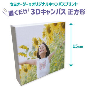 yZ~I[_[z3DLoX 15×15cm vg A[g pl ` 150mm×150mmj[{[tHg  oY  Cxg ܎O NGC^[̃IWiCXg[LINEe