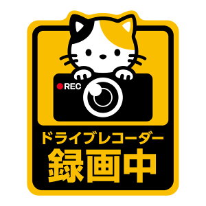 yԗp}OlbgzhR^撆@hbOELbghCuR[_[^撆@J[}Olbg@J[ANZT[@EL@@킢㕔ԗɃAs[@΁@΃V[g