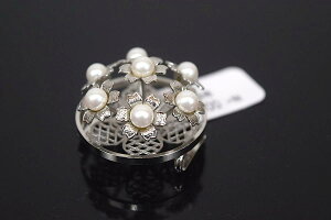 yAeB[Nzy˔zuVo[Ƀp[̏Ԃ̉ԑv