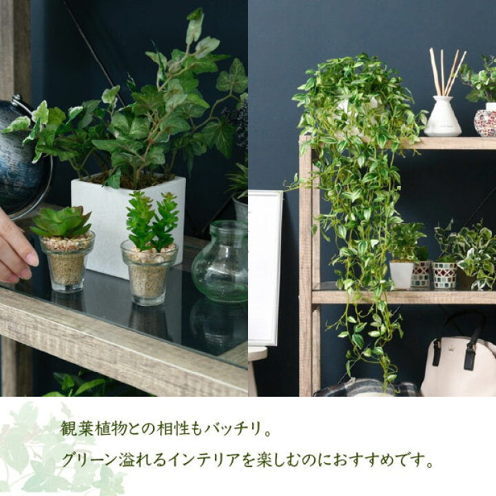 楽天市場 古木風 ボタニカル フラワースタンド3段 幅60 5cm ガラス シャビー ラック インテリア 観賞植物飾り棚 Faw 0002 Jk わくわく家具 楽天市場 古木風 ボタニカル フラワースタンド3段 幅60 5cm ガラス シャビー ラック インテリア 観賞植物飾り棚 Faw 0002 Jk わくわく家具