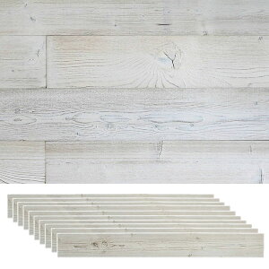 V[^Cv̓VR؃pl ǂɓ\VR؃pl 10g i` 1.5[g \fR SOLIDECO SLDC-10P