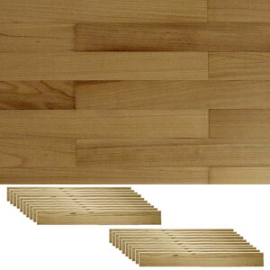 V[^Cv̓VR؃pl ǂɓ\VR؃pl 20g i` 3[g \fR SOLIDECO SLDC-20P