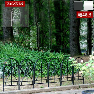 tFX 1 ACAtFX tBjA eBX WCg A 48.5×91cm n^Cv i IPN-7029F