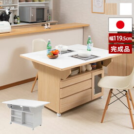 日本製 完成品 バタフライテーブル 幅119.5cm カウンターテーブル 両バタフライ 天板が畳める Butter NO-0165/NO-0167-NS