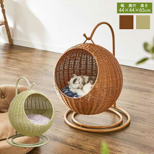 lR̖ ybgpnMO`FA[ a32cm LpObY PET-HC 㓡ƋY