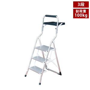 r A~g[tr3i 茳ɓug[t ω׏d100kg TAN-3010-3