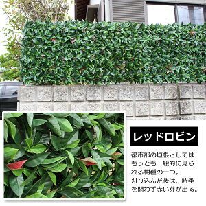 tFCNO[ AO[tFX 1m×1m 4g tFXpډB TAN-747/TAN-748/TAN-797
