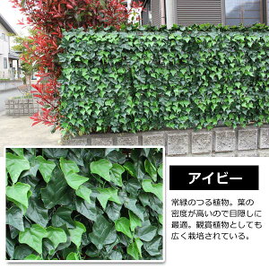 tFCNO[ AO[tFX 1m×1m 4g tFXpډB TAN-747/TAN-748/TAN-797