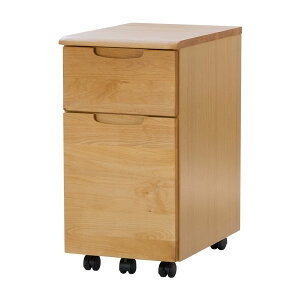 VR fXN[S 33.4cm A_[ LX^[t i ERIS KIDS 34 WAGON 101-00238