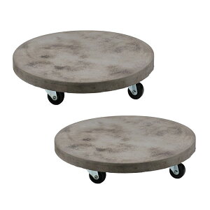 @ ZgLX^[tv^[L[ 2 36cm C_XgA TR360-2P