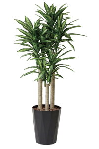 観葉植物 幸福の木 光触媒の人気商品 通販 価格比較 価格 Com