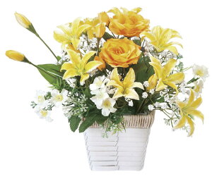 ̊y AWt[ 67K38 A[gt[  G}