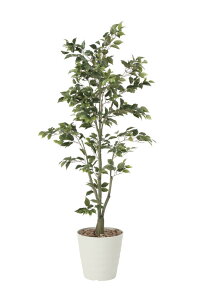 ���̊y�� �t�B�J�X�c���[1.8 822K400 �A�[�g�O���[�� �l�H�ϗt�A�� ���G�}