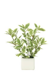 光の楽園 ミニリーフG／W 935K28 アートグリーン 人工観葉植物 光触媒