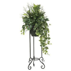 ̊y O|X^hACr|1D1 2003P370 A[gO[ tFCNO[ lHϗtA G}