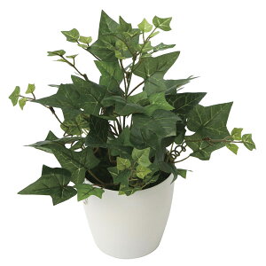 A[gO[ tFCNO[ lHϗtA G} ̊y ACr| 2038K35