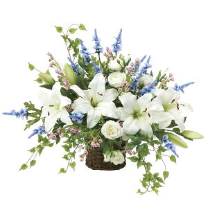 ̊y Ǌ|JTuJ 2080P160 A[gt[  G}