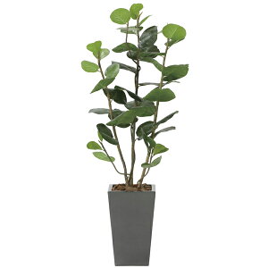 ̊y A[oV[O[v1D35 2242K460 A[gO[ tFCNO[ lHϗtA G}