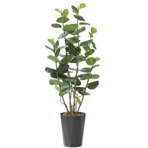 ̊y V[O[vDX1D7 2244A320 A[gO[ tFCNO[ lHϗtA G}