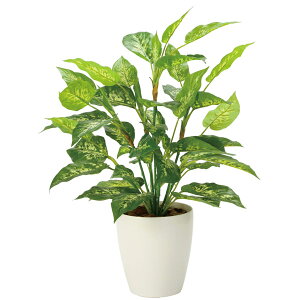 ̊y tbVfBtFoLAL 2353A85 A[gO[ tFCNO[ lHϗtA G}