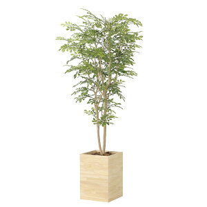 ̊y Ebh{bNXglR~bNX1.8 2457A620 A[gO[ tFCNO[ lHϗtA G}