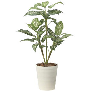 ̊y fBtFoLA90 2491A100 A[gO[ tFCNO[ lHϗtA G}