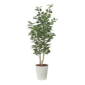 ���̊y�� �������̖�1.35 2523A275 �A�[�g�O���[�� �t�F�C�N�O���[�� �l�H�ϗt�A�� ���G�}