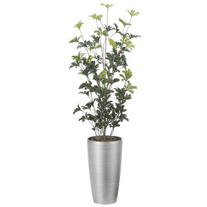 ̊y XVFt1.3i|j 2532A280 A[gO[ tFCNO[ lHϗtA G}