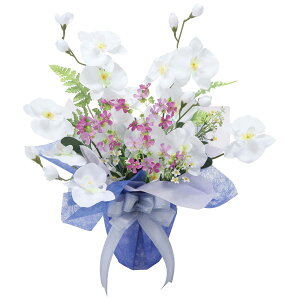 ̊y a 2587A70 A[gt[ tFCNO[  G}