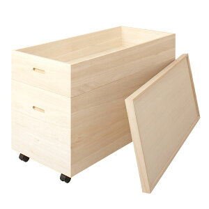 ˈߑ 2i ˎ[P[X 61cmiLX^[XmRtjHI-0037