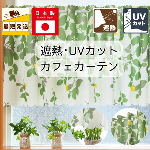 [ p JtFJ[e ՔM k  d؂ UV  145  45 72 cm    J[e O ň ͗lւ [Ă ˂_ ʔ  ډB [t t t