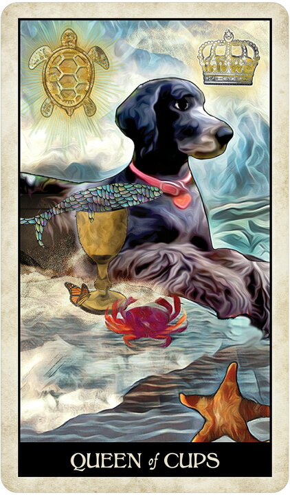 楽天市場 タロットカード Us Games Systems 正規販売店 ワイズ ドッグ タロット Wise Dog Tarot Mj Cullinane 犬 タロット 占い 英語のみ Waku Waku Shop 楽天市場店 楽天市場 タロットカード Us Games Systems 正規販売店 ワイズ ドッグ タロット Wise Dog Tarot Mj Cullinane 犬 タロット 占い 英語のみ Waku Waku Shop 楽天市場店