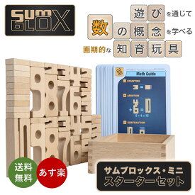 【サムブロックス SumBlox】 遊びながら数字が学べる積み木 知育玩具 日本語ガイド付き (サムブロックス・ミニ・スターターセット)