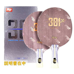 go(DHS) LEqE301X FL {ۏ t (Hurricane 301X FL)