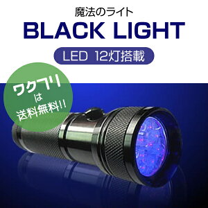 |Cg2{yԌSALE10%OFF+z ubNCg yCg ubNyCg LED UVCg d  O Ȋw  ނ ~ O~ A `FbN Uh~ 12
