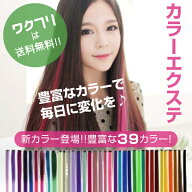 〈5日限定P10倍〉《楽天1位獲得！》 ワンタッチ エクステ ウィッグ メッシュ カラーエクステ 襟足 ロング…