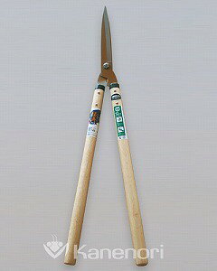 B-27 XeX |T ˂̂ Jlm ܏\nH | K[fjO  荞  ͂  O