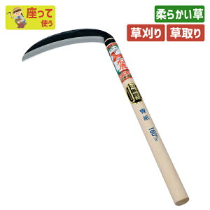 ˎijی^180mm K[fjO |pi   芙   _ p H ƒ؉ n n ؍H O