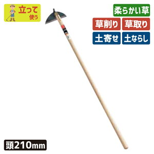 yGg[1ő100%|CgobNzԌI}Pt i|tjNV^z[210mm K[fjO L  N yȂ炵 yx @ yN   |pi _ _