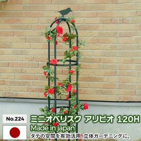 ミニオベリスク 「アリビオ」 120H No.224 GREEN GARDEN グリーンガーデン ガーデニング用品 園芸用品 バラ 薔薇 ローズ つる花 つる植物 プランター 鉢植え 植木鉢 玄関 お庭 庭園 緑 花 家庭菜園 ガーデンファニチャー 小林金物 燕三条