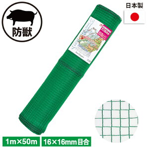 Aj}lbg i΁j 1×50m K[fjO | _ _ H   L{V