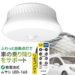 y55z lZT[Cg O hƃCg TV RITEX OpZT[V[OCg RtiLED-165j dr  K[W Ɩ hƃObY LEDCg 邳