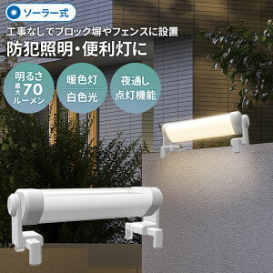 y55z hƃCg TV \[[OǁEtFXCgiS-C1200Lj \[[Cg ZT[Cg O ubN tFX 铔 h z zsv Hsv \[[d 