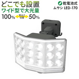 y47z lZT[Cg O hƃCg TV RITEX 9WCh t[A[ LEDdrZT[CgiLED-170j dr  K[W Ɩ hƃObY LEDCg 邳
