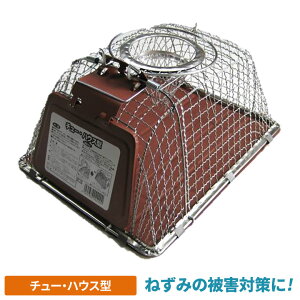 yGg[1ő100%|CgobNz`[EnEX^ lY~ߊl ˂ Rp Qb΍ hb΍ 쏜  O O  K[fjO | _  u  ATm