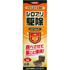 CJ VAn^[ 6 CJ h  悯  AEghA O O | K[fjO Q΍  