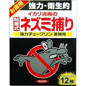 CJ ̓`[NƖp 12 CJ lY~ ˂ Q Qb  V 䏊  쏜 O O | K[fjO ΍  