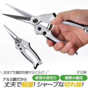 yGg[1ő100%|CgobNzy[ցzA~_CLXg  K[f DIY K[fjO p H ͂ ͂ ΂ K[fjOpi |